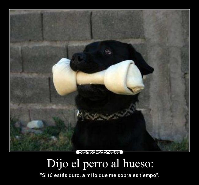 Dijo el perro al hueso: - “Si tú estás duro, a mi lo que me sobra es tiempo”.