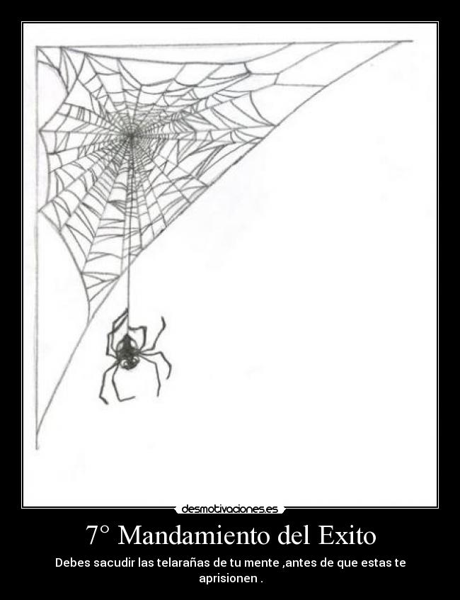 7° Mandamiento del Exito - Debes sacudir las telarañas de tu mente ,antes de que estas te aprisionen .