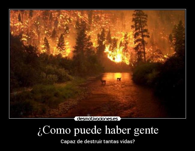 ¿Como puede haber gente - Capaz de destruir tantas vidas?