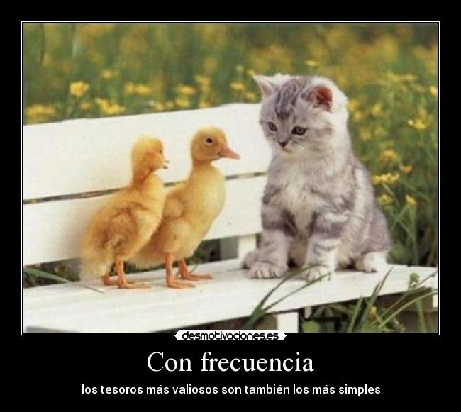 Con frecuencia - los tesoros más valiosos son también los más simples