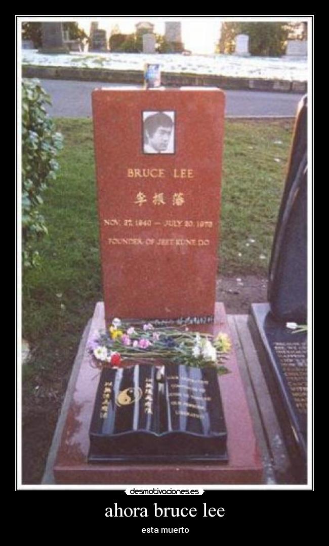 ahora bruce lee - 