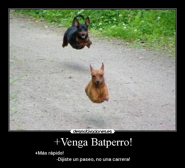 +Venga Batperro! - +Más rápido!                                                                            
 -Dijiste un paseo, no una carrera!