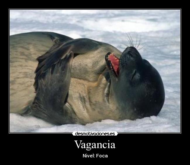 Vagancia - Nivel: Foca