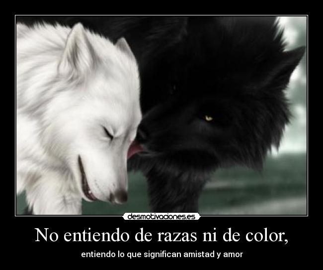 No entiendo de razas ni de color, -