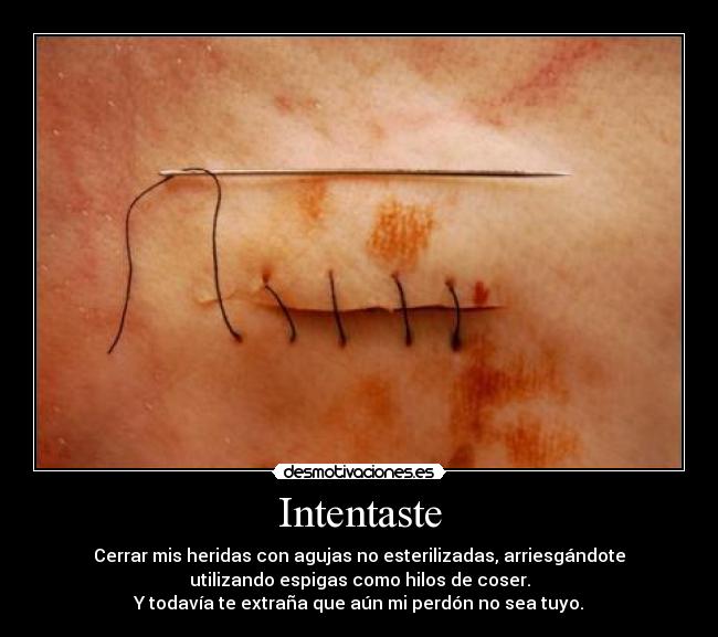 Intentaste - 