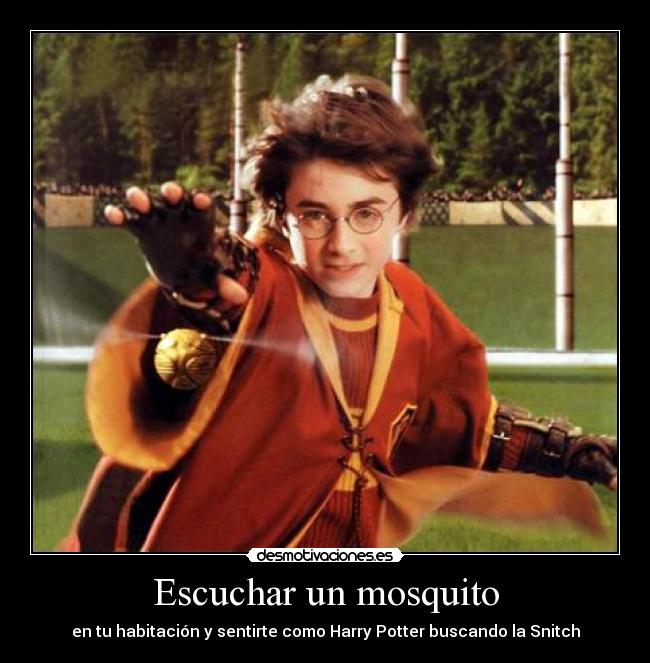 Escuchar un mosquito - en tu habitación y sentirte como Harry Potter buscando la Snitch