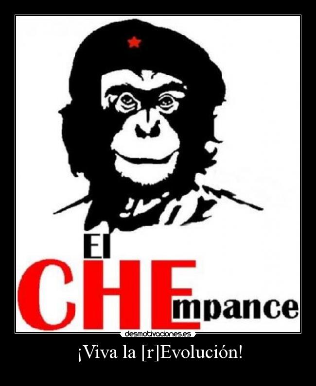 carteles asesino desmotivaciones