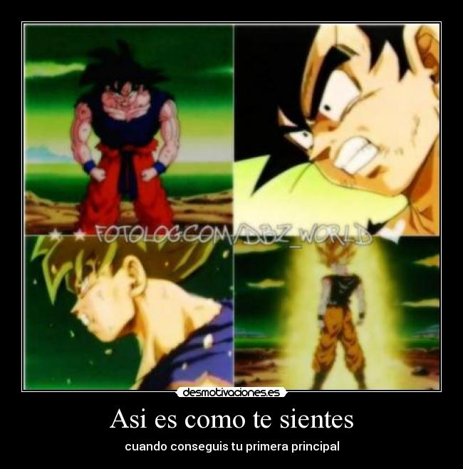 carteles principal goku cartel desmotivaciones