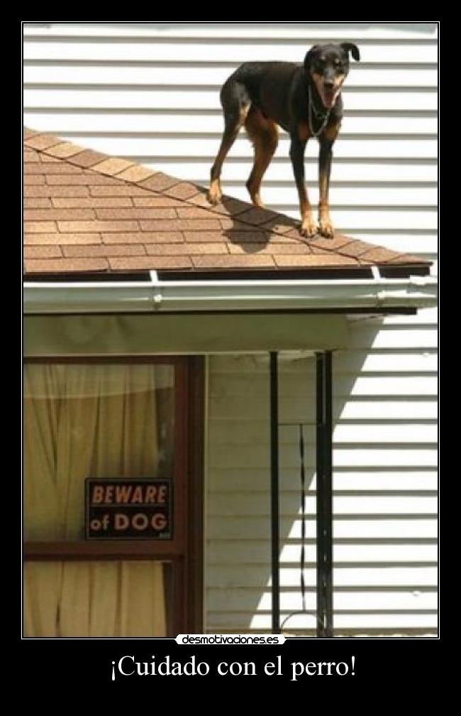 ¡Cuidado con el perro! -