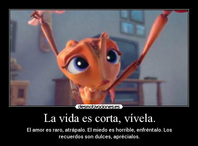 La vida es corta, vívela. - El amor es raro, atrápalo. El miedo es horrible, enfréntalo. Los
recuerdos son dulces, aprécialos.