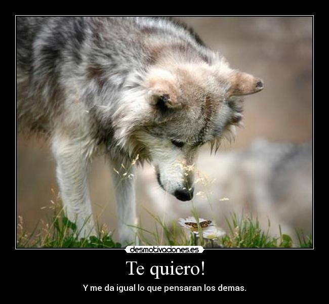 carteles hristina desmotivaciones