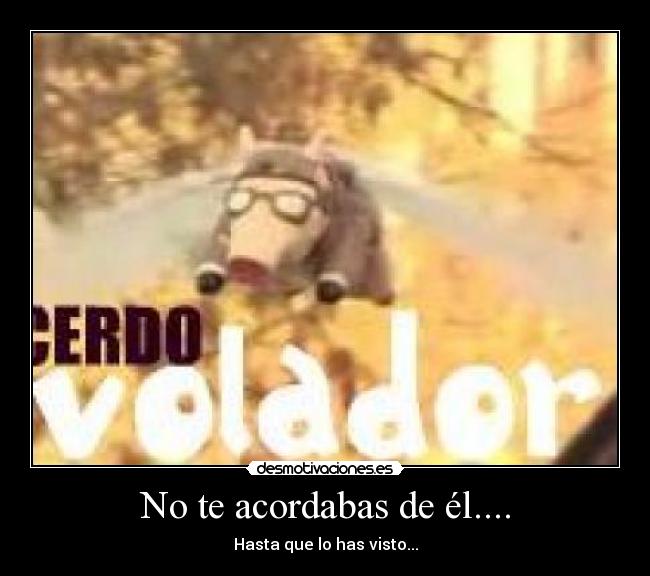 No te acordabas de él.... - 