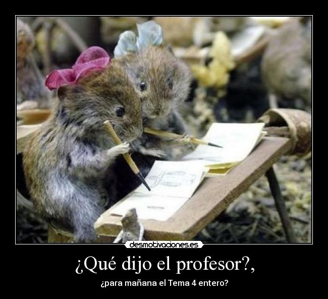 ¿Qué dijo el profesor?, - ¿para mañana el Tema 4 entero?