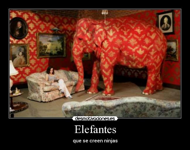 Elefantes - que se creen ninjas