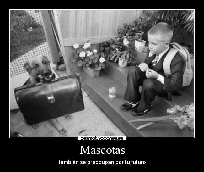 Mascotas - también se preocupan por tu futuro