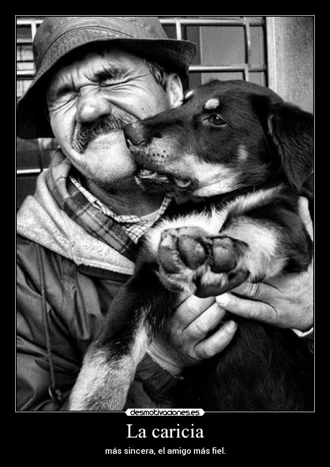 La caricia - más sincera, el amigo más fiel.
