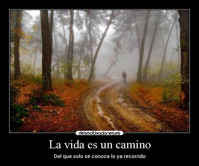 La vida es un camino - Del que solo se conoce lo ya recorrido