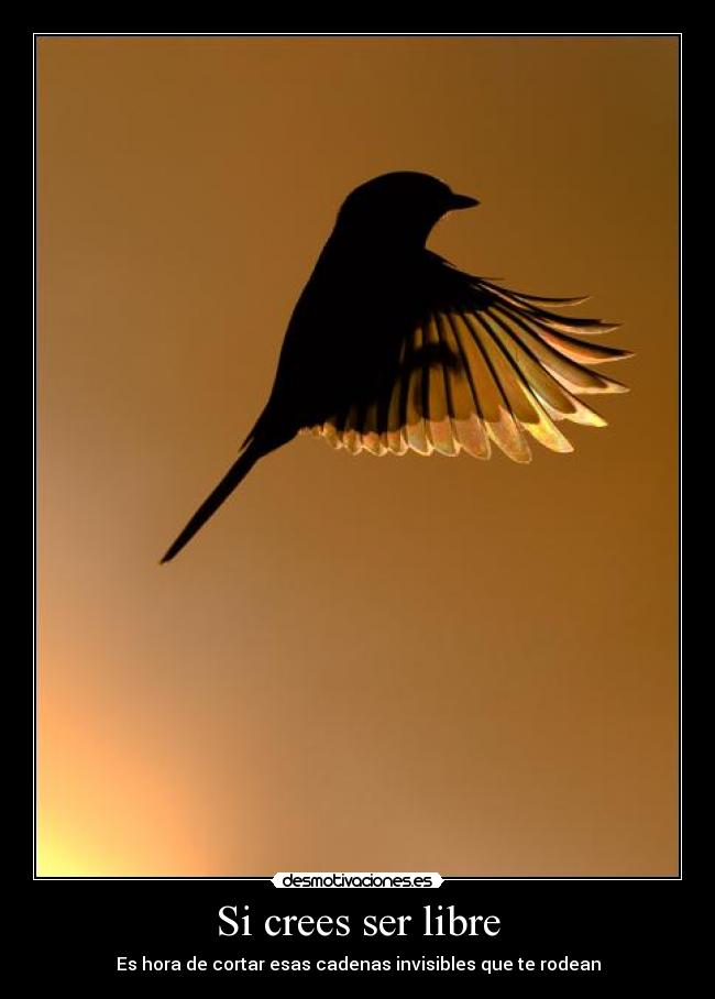 Si crees ser libre - Es hora de cortar esas cadenas invisibles que te rodean