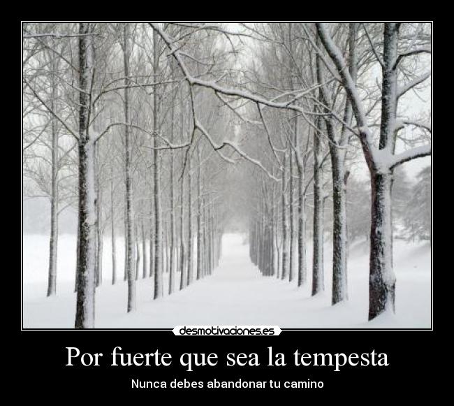 Por fuerte que sea la tempesta - Nunca debes abandonar tu camino