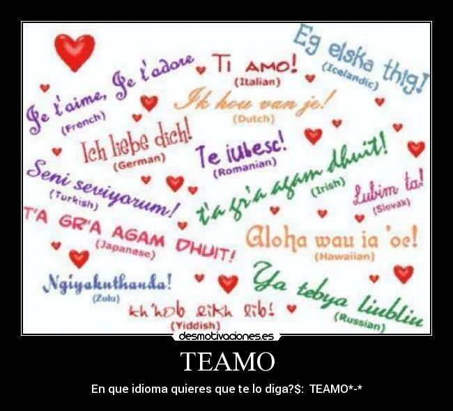 TEAMO - En que idioma quieres que te lo diga?$:♥ TEAMO*-*