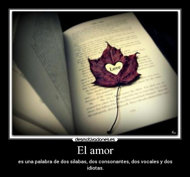 El amor - 