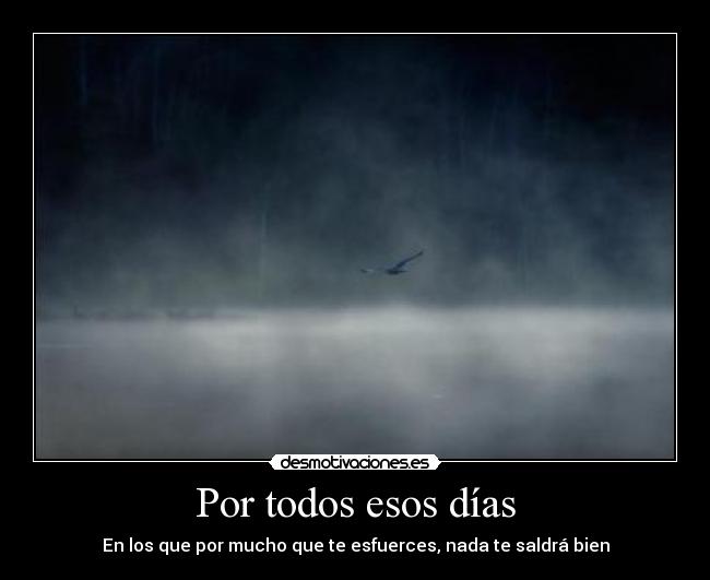 Por todos esos días -