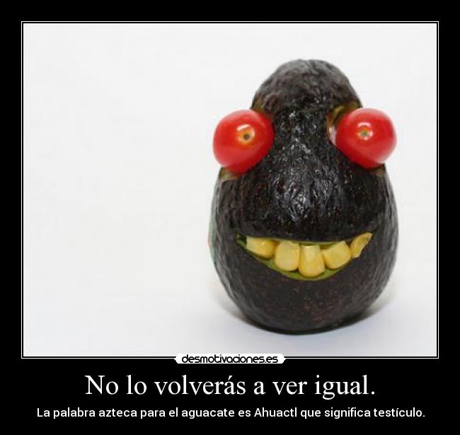 No lo volverás a ver igual. - La palabra azteca para el aguacate es Ahuactl que significa testículo.