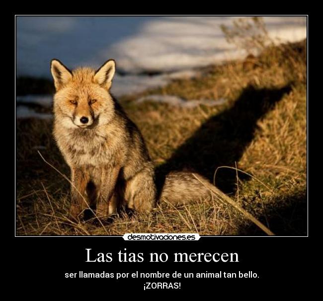 carteles zorras desmotivaciones