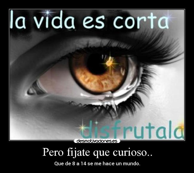 carteles agmg vida corta mundo desmotivaciones