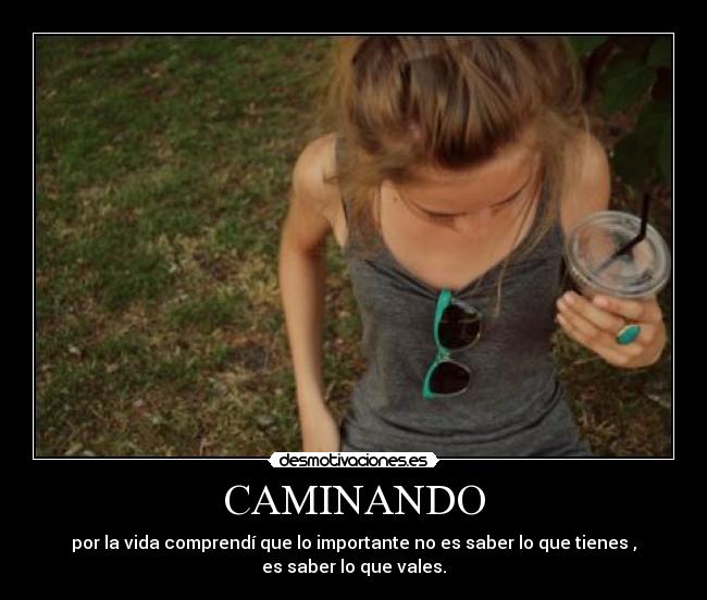 carteles teqiero desmotivaciones