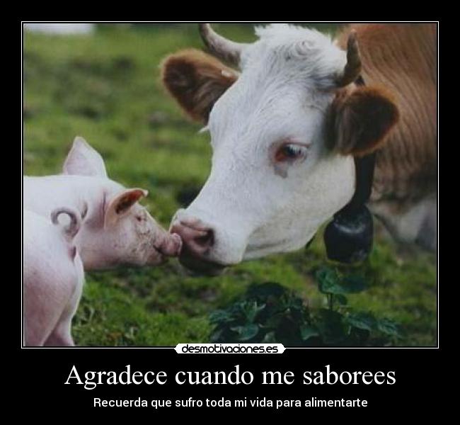 Agradece cuando me saborees - 