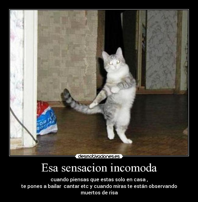 Esa sensacion incomoda - cuando piensas que estas solo en casa ,
te pones a bailar cantar etc y cuando miras te están observando muertos de risa