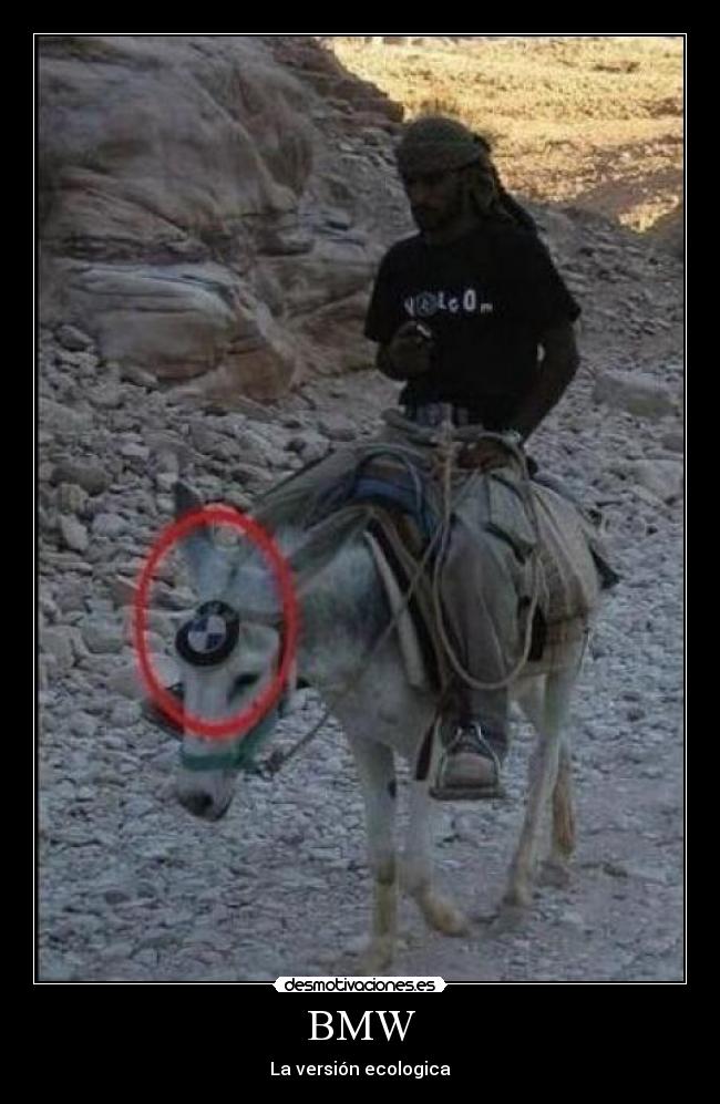 BMW - La versión ecologica