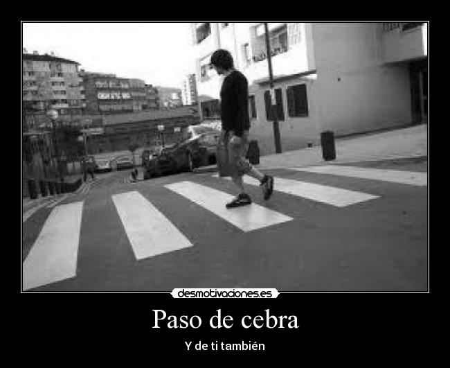 Paso de cebra - Y de ti también