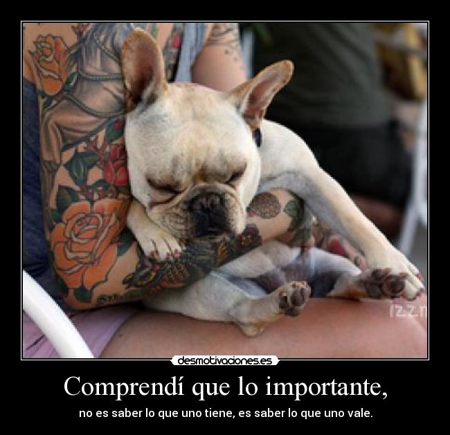 Comprendí que lo importante, -