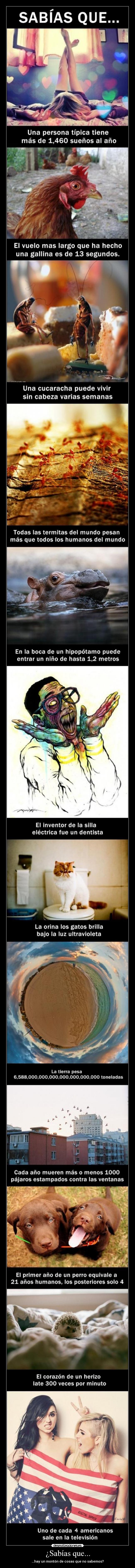 carteles paul borsan resubido por error hortojrafiko desmotivaciones