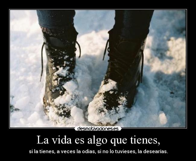 La vida es algo que tienes, -