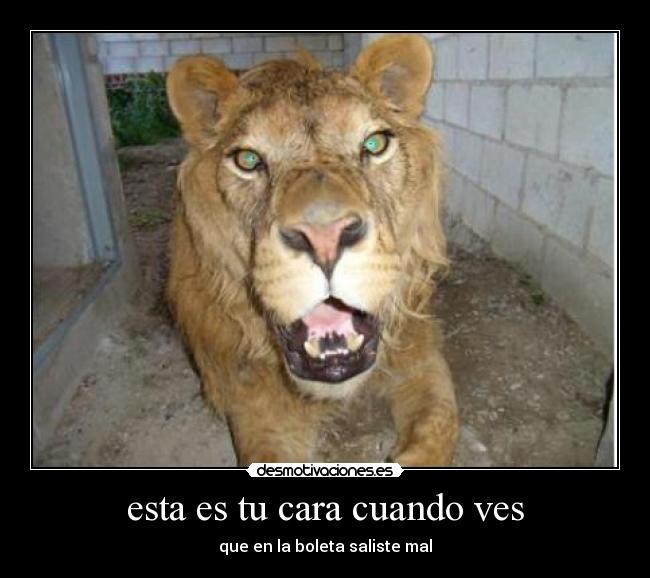 esta es tu cara cuando ves - 