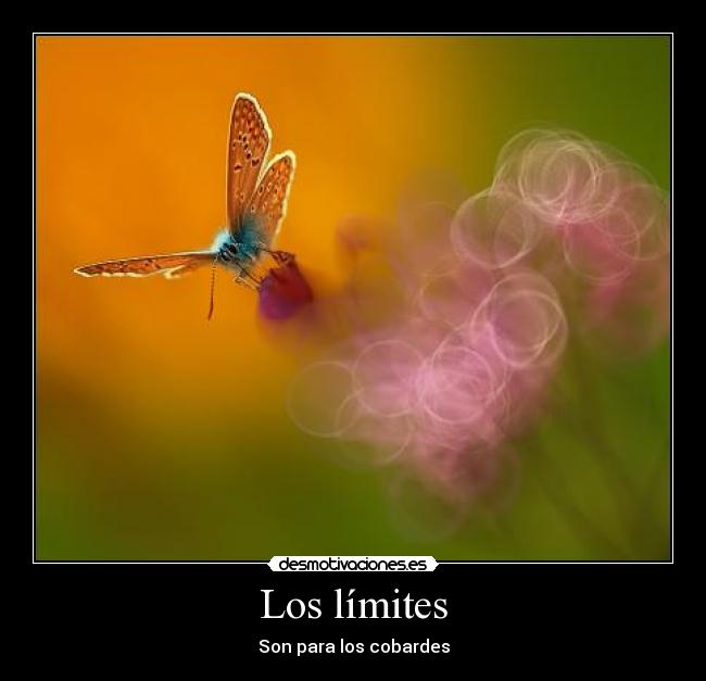 Los límites - Son para los cobardes