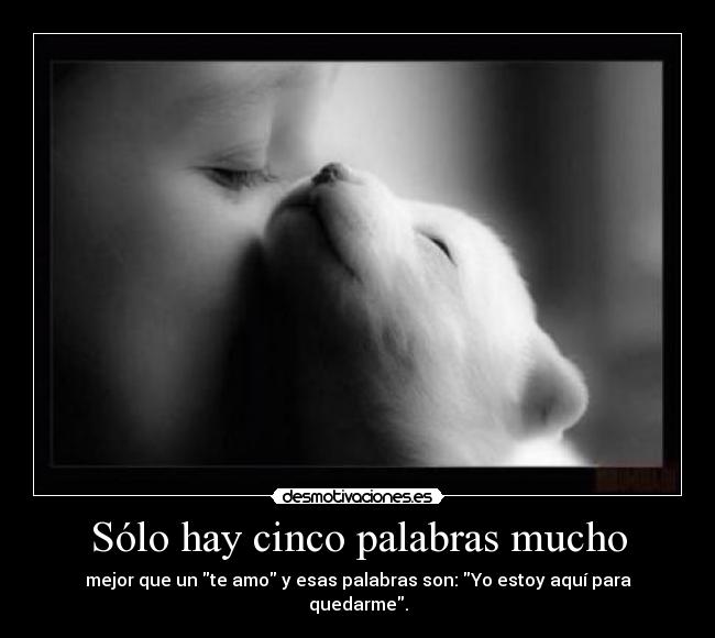 Sólo hay cinco palabras mucho - 