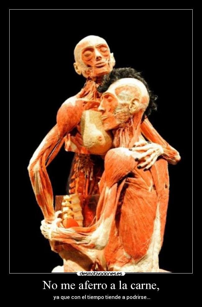 No me aferro a la carne, - ya que con el tiempo tiende a podrirse...