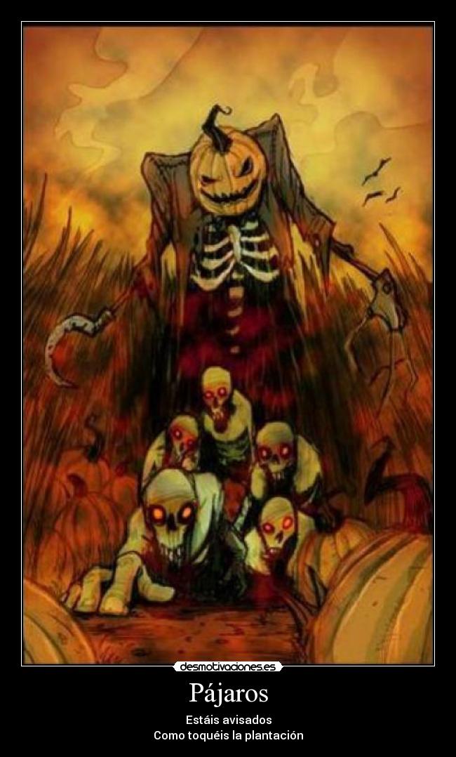 Pájaros - Estáis avisados
Como toquéis la plantación