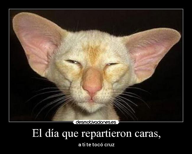 El día que repartieron caras, -