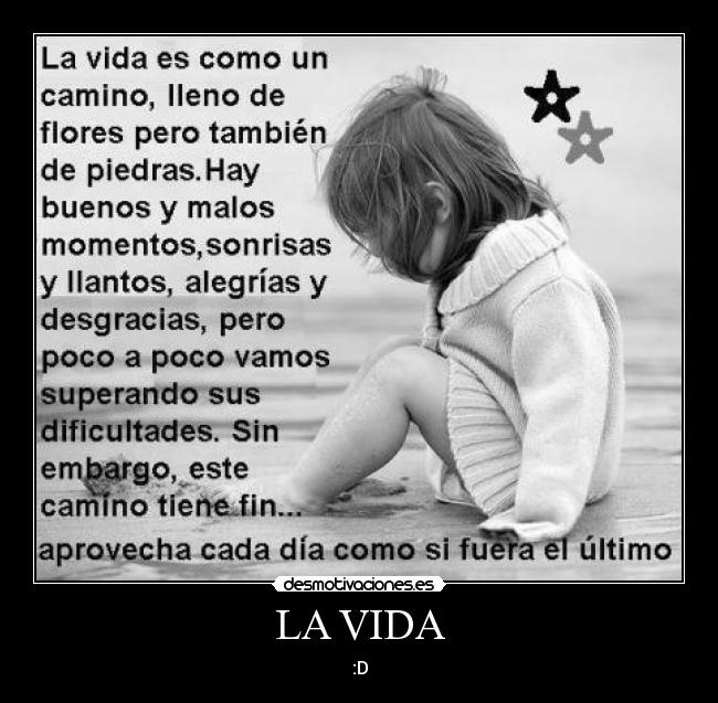 LA VIDA - :D