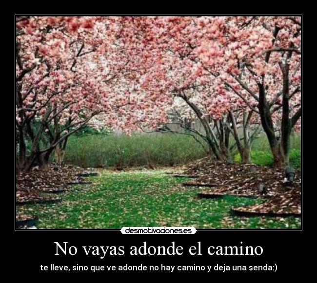 No vayas adonde el camino - 