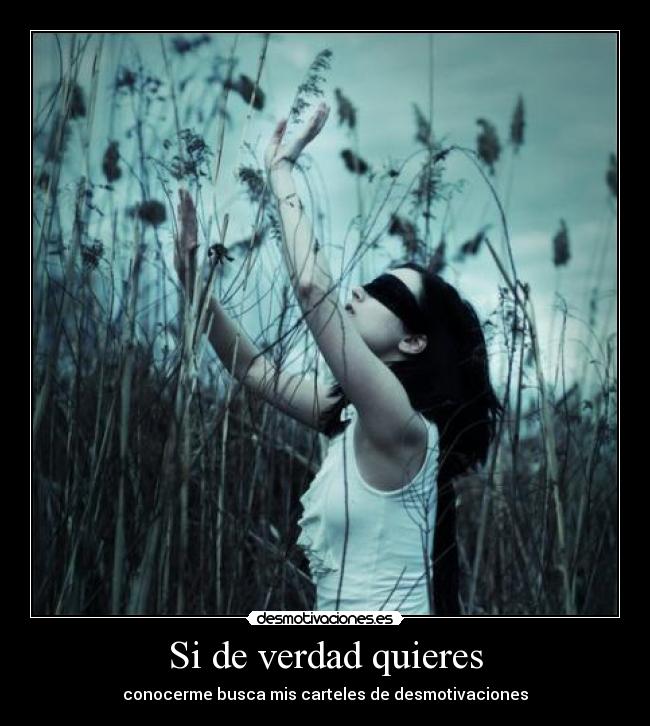 Si de verdad quieres -