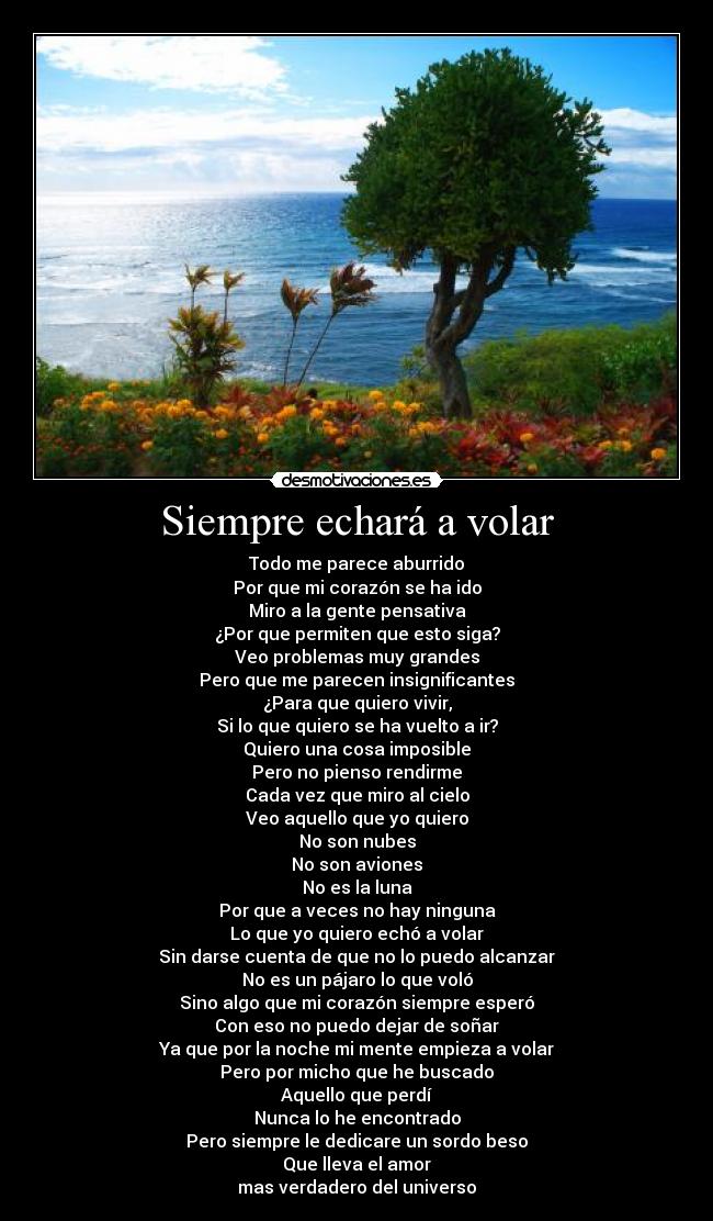 Siempre echará a volar - Todo me parece aburrido
Por que mi corazón se ha ido
Miro a la gente pensativa
¿Por que permiten que esto siga?
Veo problemas muy grandes
Pero que me parecen insignificantes
¿Para que quiero vivir,
Si lo que quiero se ha vuelto a ir?
Quiero una cosa imposible
Pero no pienso rendirme
Cada vez que miro al cielo
Veo aquello que yo quiero
No son nubes
No son aviones
No es la luna
Por que a veces no hay ninguna
Lo que yo quiero echó a volar
Sin darse cuenta de que no lo puedo alcanzar
No es un pájaro lo que voló
Sino algo que mi corazón siempre esperó
Con eso no puedo dejar de soñar
Ya que por la noche mi mente empieza a volar
Pero por micho que he buscado
Aquello que perdí
Nunca lo he encontrado
Pero siempre le dedicare un sordo beso
Que lleva el amor
mas verdadero del universo