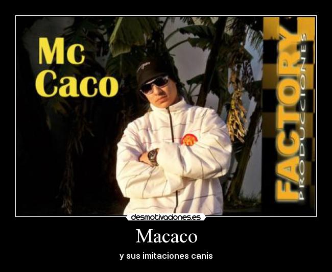 Macaco - y sus imitaciones canis