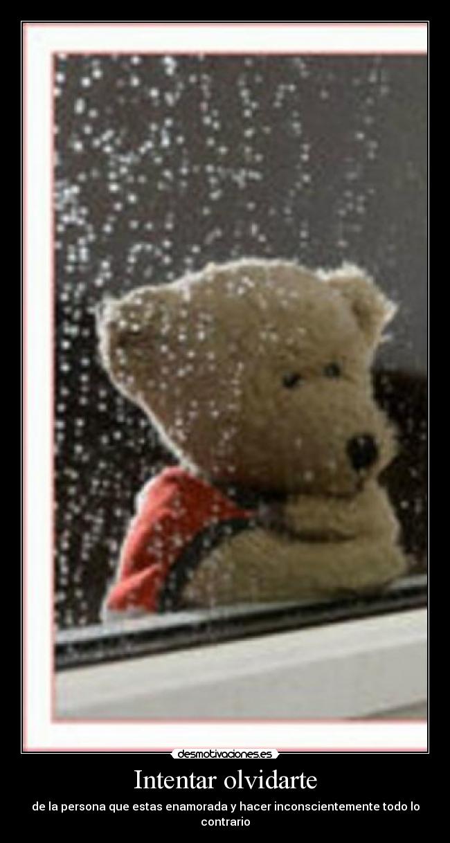 carteles olvido amor desmotivaciones