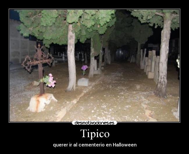 Tipico - 